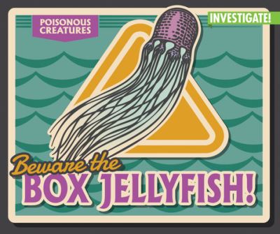 Cover for Howard Phillips · Beware the Box Jellyfish! (N/A) (2022)