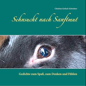 Cover for Christina Gerlach-Schweitzer · Sehnsucht nach Sanftmut (Hardcover Book) (2019)