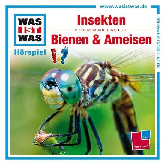 Cover for Was Ist Was · Folge 37: Im Reich Der Insekten / Bienen &amp; Ameisen (CD) (2013)