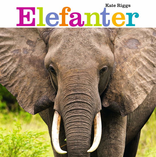 Cover for Kate Riggs · Elefanter (Hardcover Book) [1. Painos] (2024)