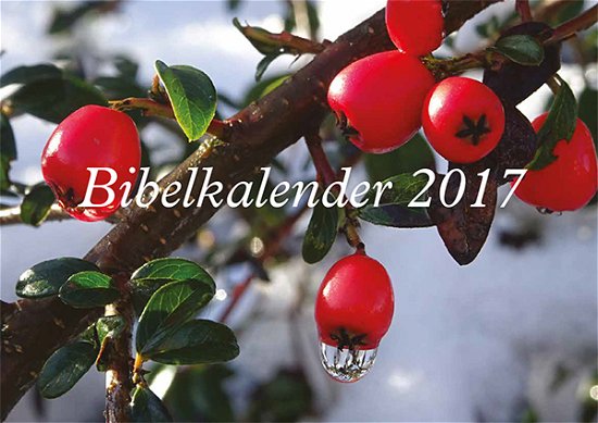 Bibelkalender 2017 -  - Bøger - Lohse - 9788756463386 - 14. oktober 2016