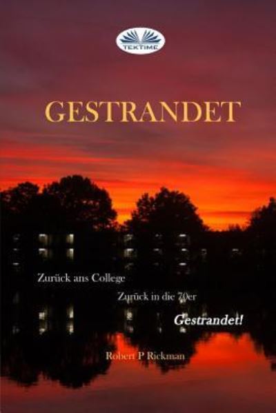 Cover for Robert Rickman · Gestrandet (Paperback Bog) (2019)