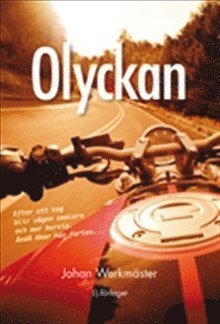 Cover for Johan Werkmäster · Olyckan (Innbunden bok) (2013)