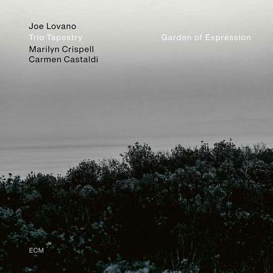 Garden of Expression - Joe -Trio Tapestry- Lovano - Musique - ECM - 0602435206387 - 26 mars 2021