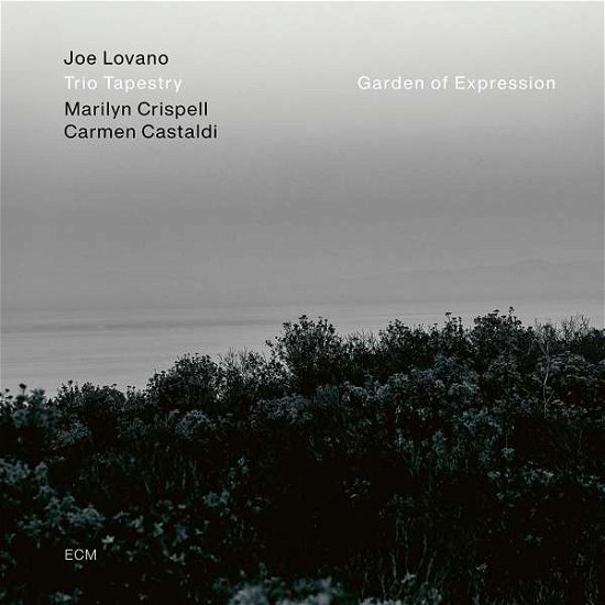 Cover for Joe -Trio Tapestry- Lovano · Garden of Expression (LP) (2021)