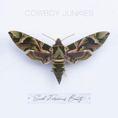 Cover for Cowboy Junkies · Such Ferocious Beauty (LP) (2023)