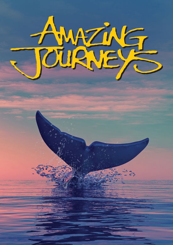 Amazing Journeys - Feature Film - Elokuva - DREAMSCAPE - 0818506028387 - perjantai 7. toukokuuta 2021