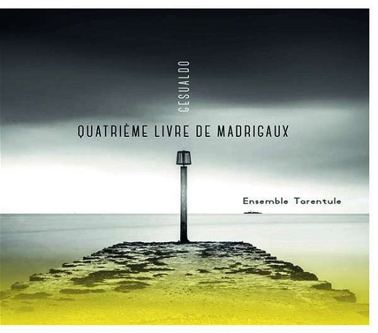 Cover for Ensemble Tarentule · Gesualdo: Quatrieme Livre De Madrigaux (CD) (2023)