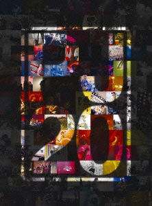 Pearl Jam 20 - Pearl Jam - Musik - SONY MUSIC LABELS INC. - 4547366063387 - 25. januar 2012