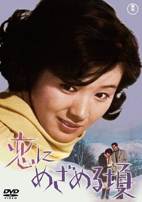Cover for (Japanese Movie) · Koi Ni Mezameru Koro (MDVD) [Japan Import edition] (2023)