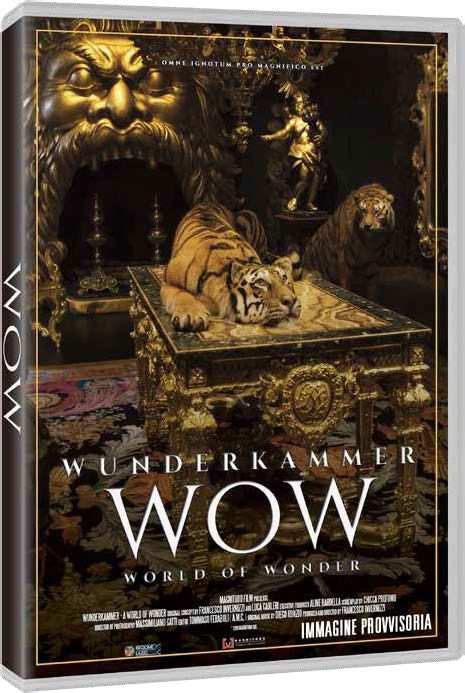 Cover for Wow · La Stanza Delle Meraviglie (DVD) [No English edition] (2019)