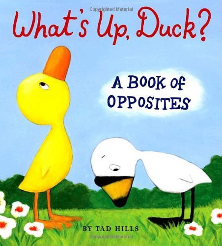 Cover for Tad Hills · What's Up, Duck?: a Book of Opposites (Duck &amp; Goose) (Board book) (2008)