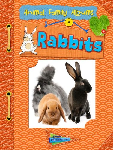 Cover for Charlotte Guillain · Rabbits: Animal Family Albums (Hardcover Book) (2013)