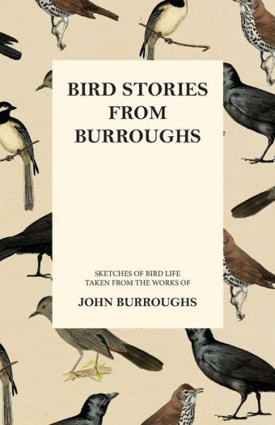 Cover for John Burroughs · Bird Stories from Burroughs - Sketches of Bird Life Taken from the Works of John Burroughs (Paperback Book) (2016)