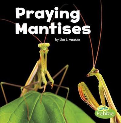 Cover for Lisa J. Amstutz · Praying Mantises (Book) (2017)