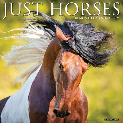 Willow Creek Press · Just Horses 2025 12 X 12 Wall Calendar (Kalender) (2024)