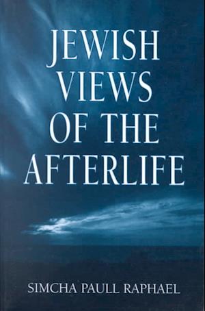 Jewish Views of the Afterlife - Simcha Paull Raphael - Książki - Jason Aronson Inc. Publishers - 9781568219387 - 1 listopada 2000