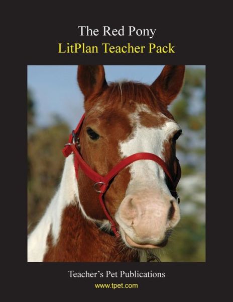 Litplan Teacher Pack - Mary B Collins - Książki - Teacher's Pet Publications - 9781602492387 - 15 czerwca 1996