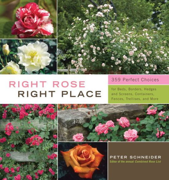 Right Rose, Right Place - Peter Schneider - Książki - Storey Publishing LLC - 9781603424387 - 1 lutego 2010