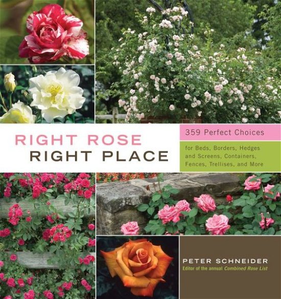 Right Rose, Right Place - Peter Schneider - Books - Storey Publishing LLC - 9781603424387 - February 1, 2010