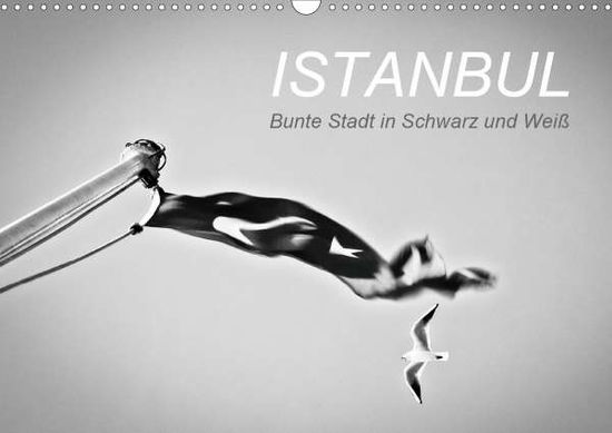 Cover for Reinecke · Istanbul - Bunte Stadt in Schw (Book)