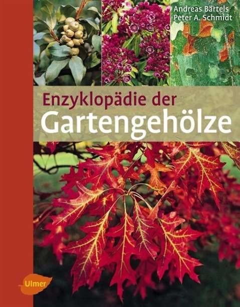 Enzyklopädie der Gartengehölze - Bärtels - Böcker -  - 9783800177387 - 