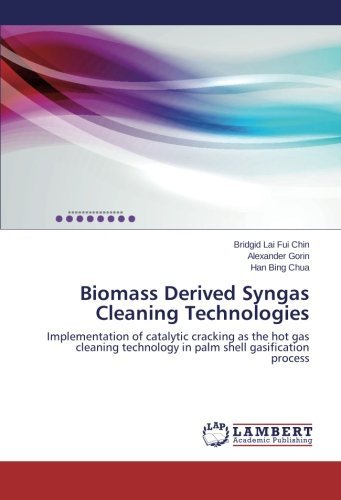 Cover for Han Bing Chua · Biomass Derived Syngas Cleaning Technologies: Implementation of Catalytic Cracking As the Hot Gas Cleaning Technology in Palm Shell Gasification Process (Paperback Book) (2014)