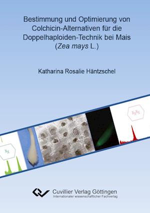 Cover for Katharina Rosalie Häntzschel · Bestimmung und Optimierung von Colchicin-Alternativen für die Doppelhaploiden-Technik bei Mais (Zea mays L.) (Paperback Book) (2011)
