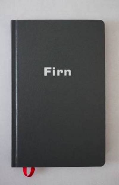 Cover for Reiter · Firn - Aufzeichnungen am Gletsch (Book)