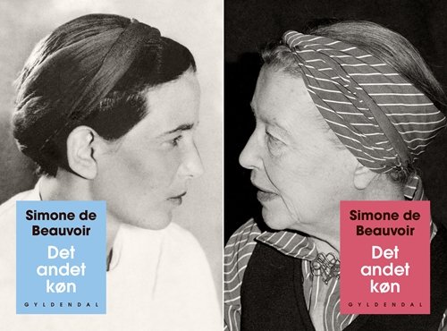 Cover for Simone De Beauvoir · Det andet køn 1-2. (Sewn Spine Book) [5th edition] (2019)