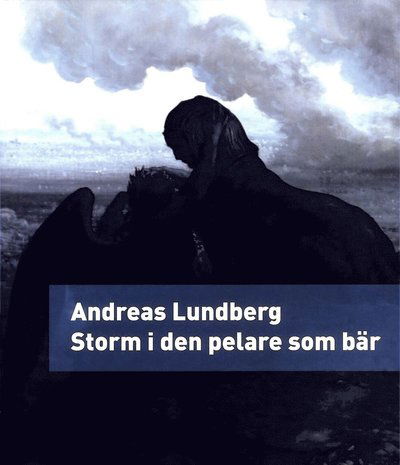 Cover for Andreas Lundberg · Storm i den pelare som bär : en berättelse (Book) (2016)