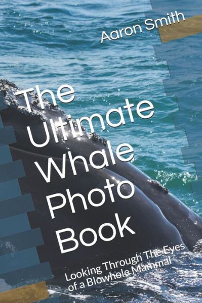 Cover for Aaron Smith · The Ultimate Whale Photo Book (Paperback Book) (2020)