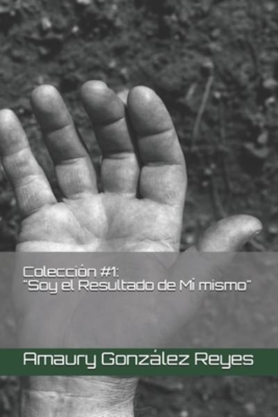Cover for Amaury González Reyes · Coleccion #1 (Paperback Bog) (2020)