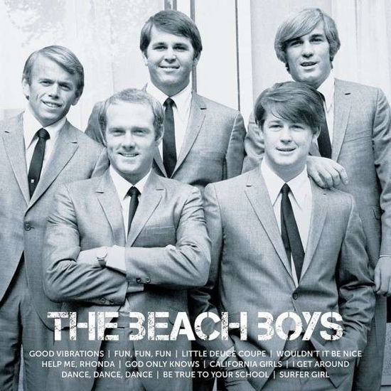 Icon - The Beach Boys - Musikk - SPECTRUM - 0600753455388 - 7. november 2013