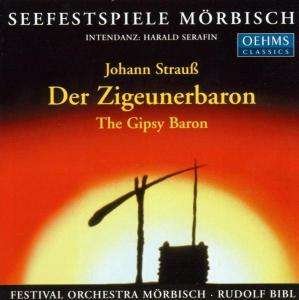 STRAUß JOHANN SOHN · Bibl Rudolffestival Orchestra (CD) (2013)