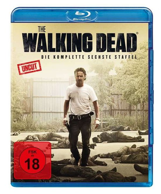 Cover for Andrew Lincoln · The Walking Dead-staffel 6 (Blu-ray) (2019)
