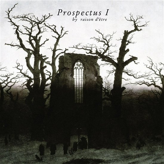 Cover for Raison D'etre · Prospectus I (LP) [Limited edition] (2018)