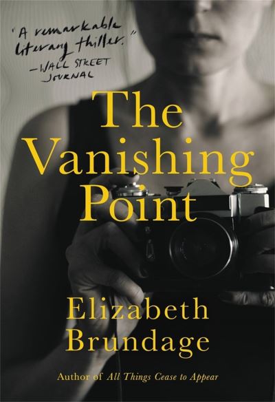 Cover for Elizabeth Brundage · The Vanishing Point: A Novel (Paperback Book) (2022)