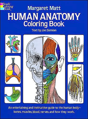 Cover for Margaret Matt · Human Anatomy - Dover Children's Science Books (Paperback Book) (2000)