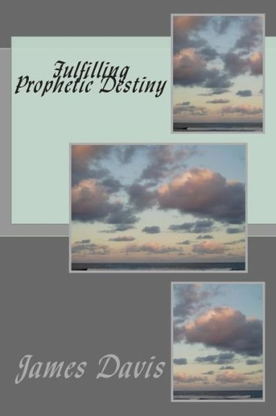 Cover for James Davis · Fulfilling Prophetic Destiny (Paperback Book) (2014)