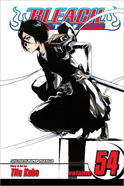 Cover for Tite Kubo · Bleach Vol 54 (Book) (2013)