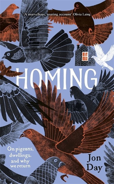 Cover for Jon Day · Homing: On Pigeons, Dwellings and Why We Return (Hardcover Book) (2019)