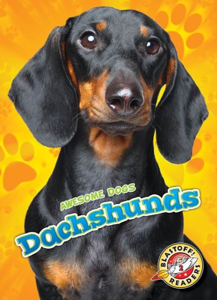 Cover for Mari Schuh · Dachshunds (Hardcover Book) (2019)