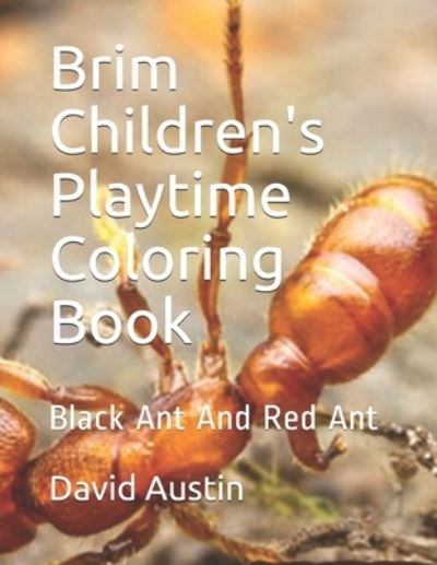 Brim Children's Playtime Coloring Book - Jane Austin - Kirjat - Independently Published - 9781705596388 - keskiviikko 6. marraskuuta 2019