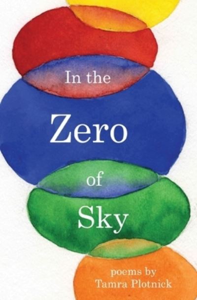 Cover for Tamra Plotnick · In the Zero of Sky (Book) (2022)