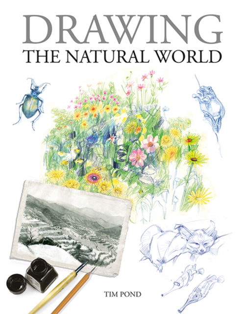 Cover for Tim Pond · Drawing the Natural World (Paperback Book) (2023)