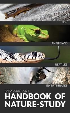 Cover for Anna Comtock · The Handbook Of Nature Study in Color - Fish, Reptiles, Amphibians, Invertebrates (Innbunden bok) (2020)
