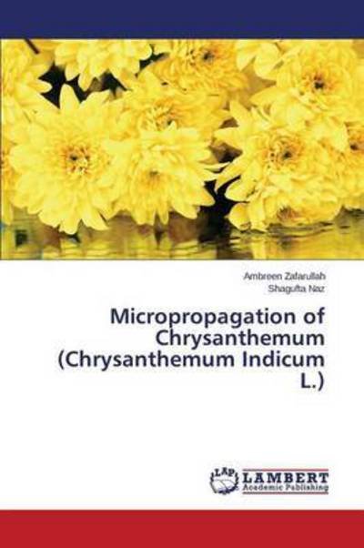 Cover for Zafarullah Ambreen · Micropropagation of Chrysanthemum (Chrysanthemum Indicum L.) (Taschenbuch) (2015)