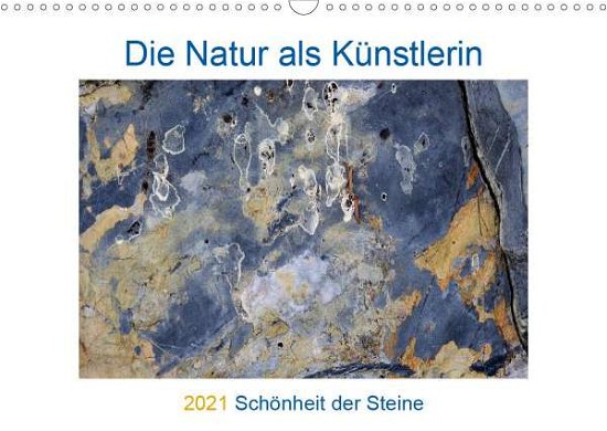 Cover for Baier · Die Natur als Künstlerin - Schönh (Bog)