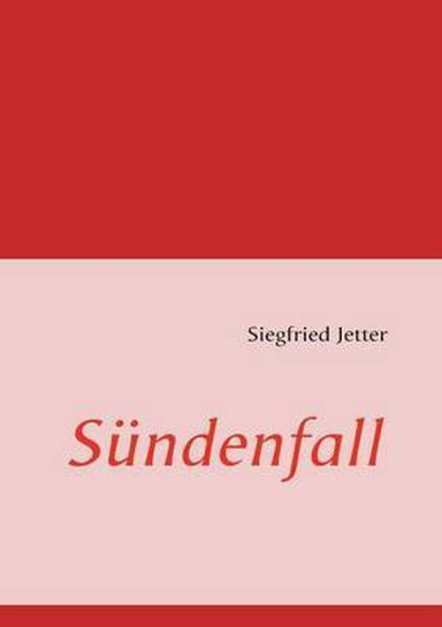 Cover for Siegfried Jetter · S Ndenfall (Paperback Book) [German edition] (2008)